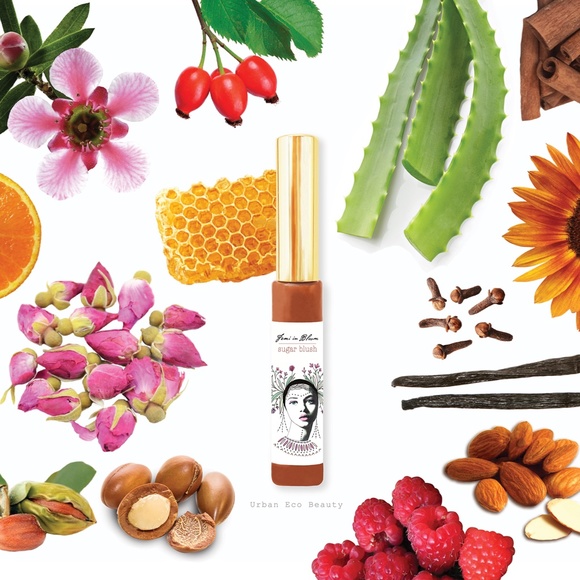 Rosy Mauve Sheer Tint Organic Lip Gloss Plumper Treatment - Picture 6 of 16